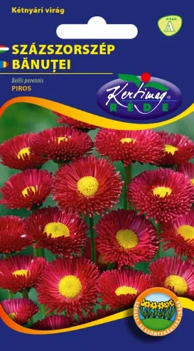 Százszorszép - egyszerű virágú piros virágmag 0,2 g