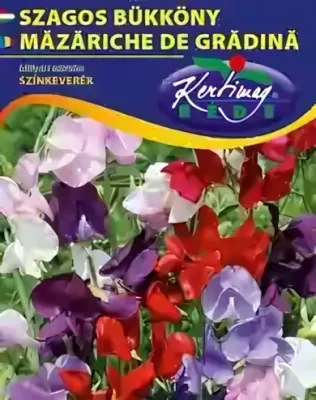 Szagos bükköny - színkeverék, virágmag