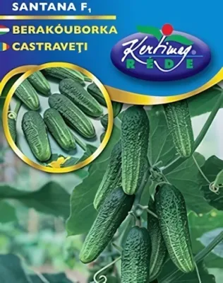 Santana F1 - berakóuborka vetőmag