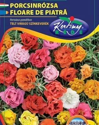 Porcsinrózsa - telt virágú színkeverék virágmag Porcsinrózsa - telt virágú színkeverék virágmag