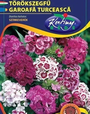 Törökszegfű - színkeverék virágmag Törökszegfű - színkeverék virágmag