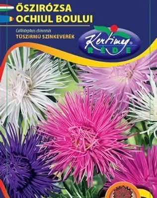 Tűszirmú őszirózsa - színkeverék virágmag Tűszirmú őszirózsa - színkeverék virágmag