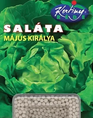 Május királya - fejessaláta drazsírozott vetőmag