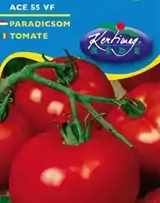 Ace 55 VF - paradicsom vetőmag