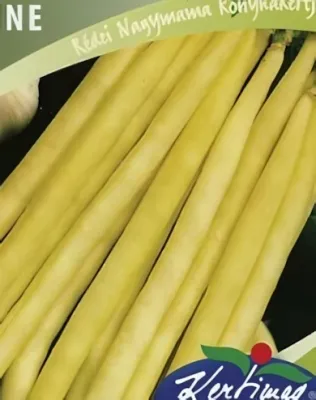 Maxidor - bokorbab vetőmag