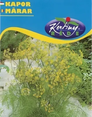 Kapor - vetőmag