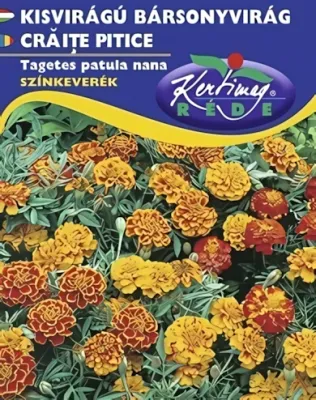 Bársonyvirág - kisvirágú,  színkeverék virágmag