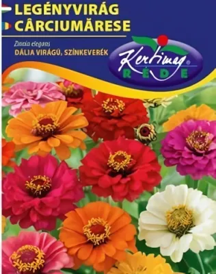 Legényvirág - dália virágú színkeverék virágmag