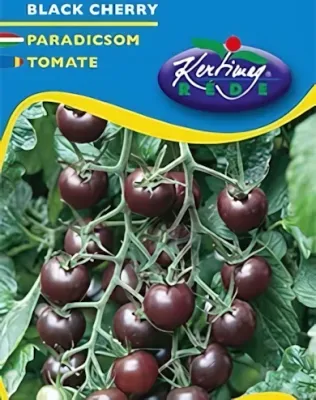 Black Cherry - paradicsom vetőmag