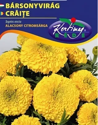 Alacsony citromsárga Bársonyvirág - virágmag