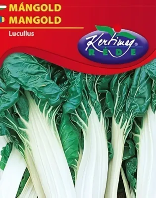 Mángold  vetőmag