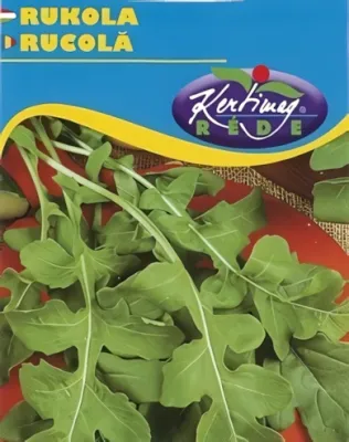 Rukola - vetőmag
