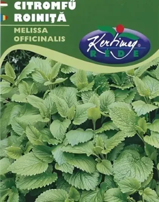 Citromfű -  vetőmag