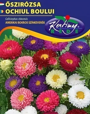 Amerikai bokros őszirózsa - színkeverék virágmag