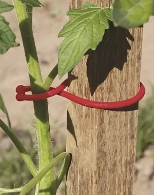 Nortene -Tomatoclip növénykapocs piros 6,2 cm