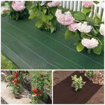 Talajtakaró szövetek