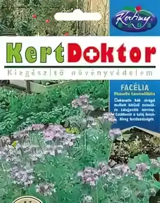 Facélia - virágmag
