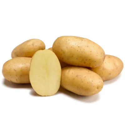 Vetőburgonya