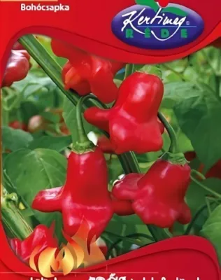 Bohócsapka chili - paprika vetőmag
