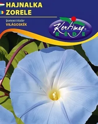 Hajnalka világoskék -  virágmag