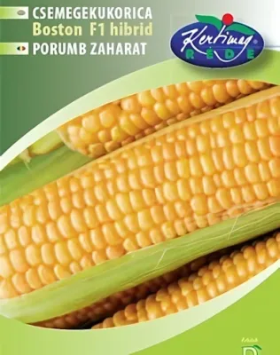 Boston F1 - csemegekukorica vetőmag