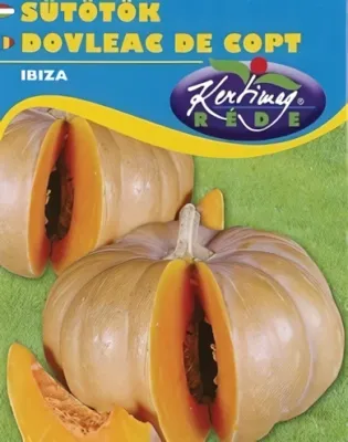 Ibiza - sütőtök vetőmag