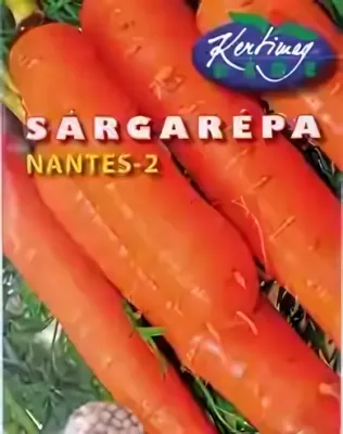 Nantes-2 -sárgarépa drazsírozott vetőmag