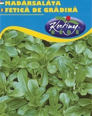 Madársaláta - vetőmag