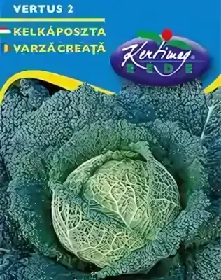 Vertus 2 - kelkáposzta vetőmag