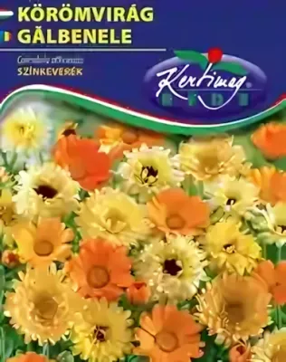 Körömvirág - színkeverék virágmag