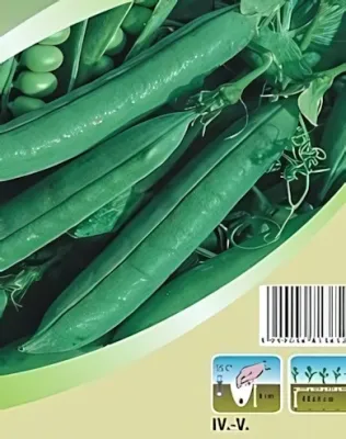 Zsuzsi - velőborsó vetőmag