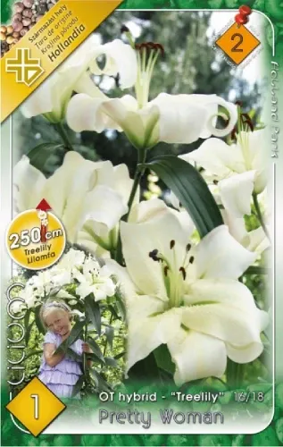 Pretty Woman liliomfa (óriás liliom) hagyma