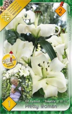 Pretty Woman liliomfa (óriás liliom) hagyma