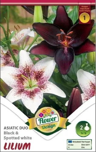 Liliom Black & Spotted White duo 2 db/cs