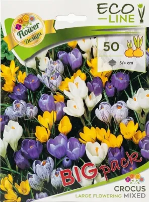 Nagyvirágú krókusz 50 db-os mix hagyma