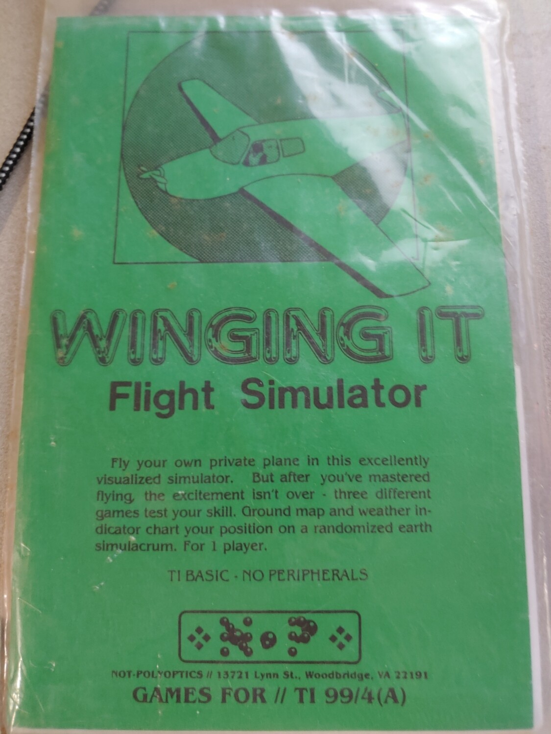 Winging It Flight Simulator