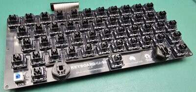 Keyboard99 Mitsumi membrane replacement 3d Printed parts only
