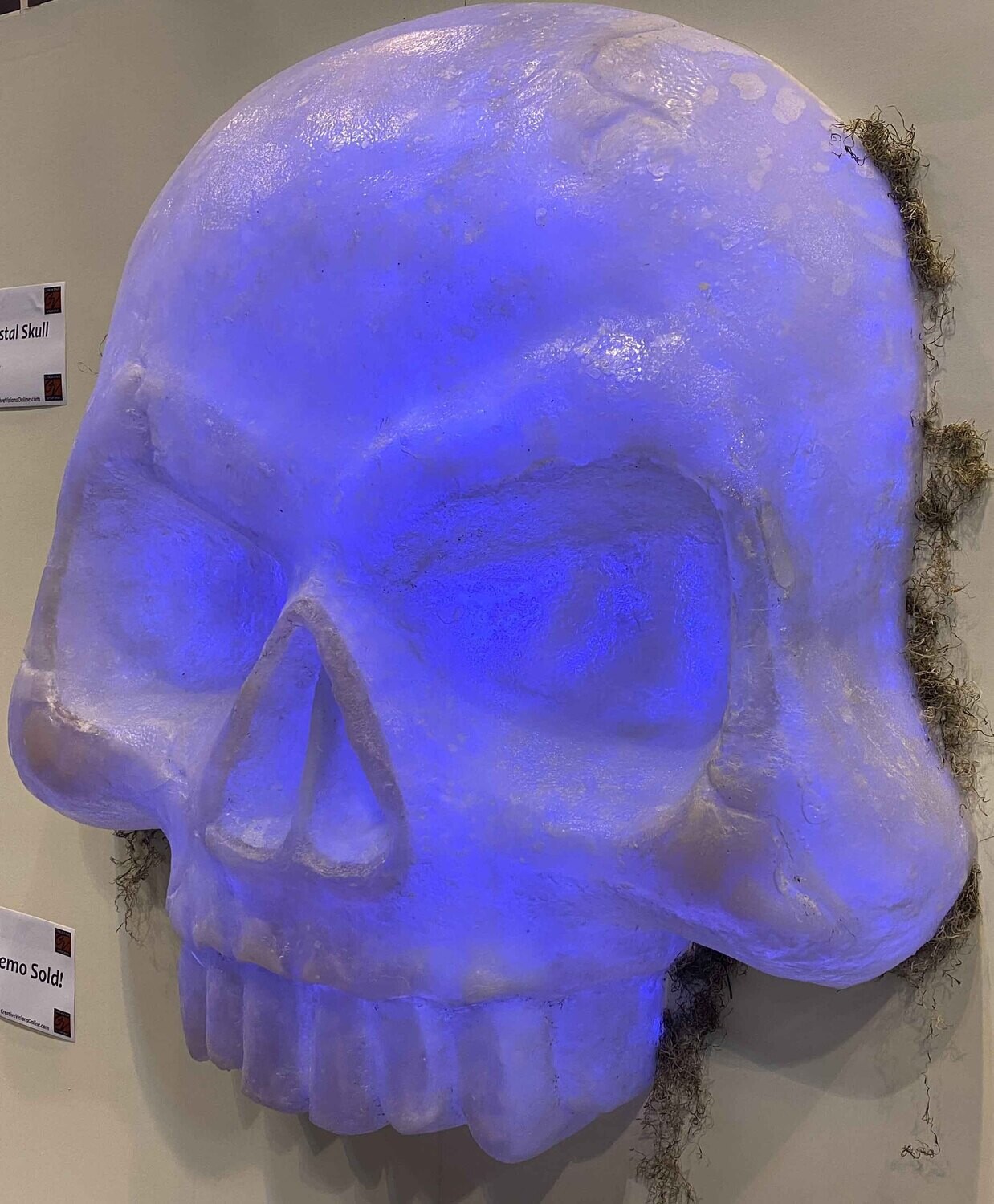 This theme park prop is a clear skull that can be lit with LED lighting. 