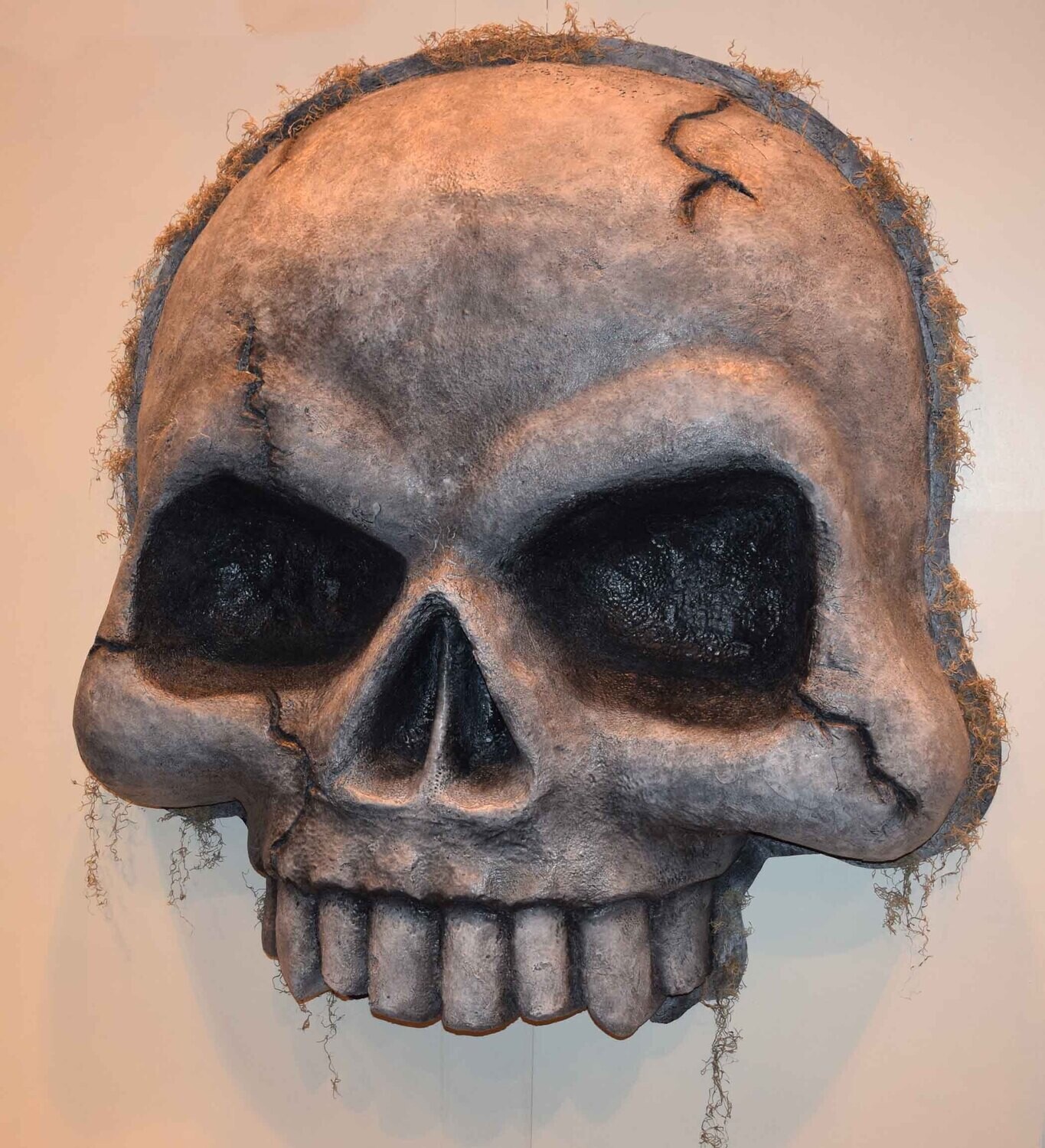 Large model skull used as a prop in theme parks and amusement centers. 