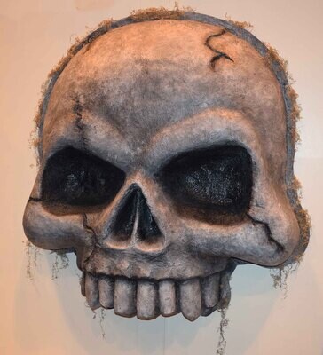 Large model skull used as a prop in theme parks and amusement centers. 