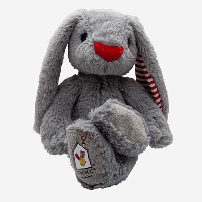 Barróg Bunny | Send a Hug 🐰☘