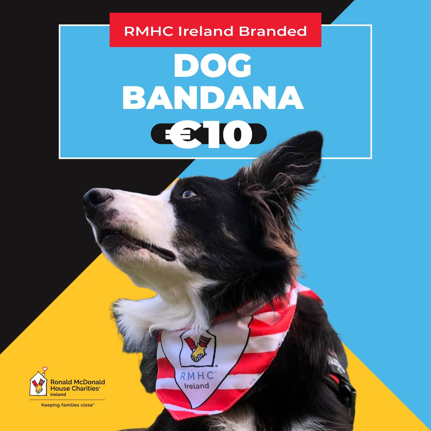 Branded Dog Bandannas