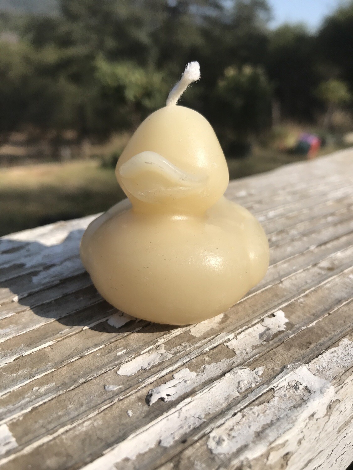 Candle- Duck