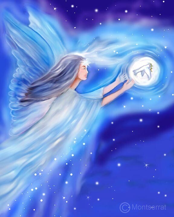 The Wish