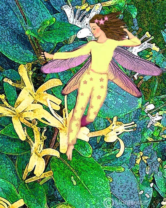 Honeysuckle Fairy