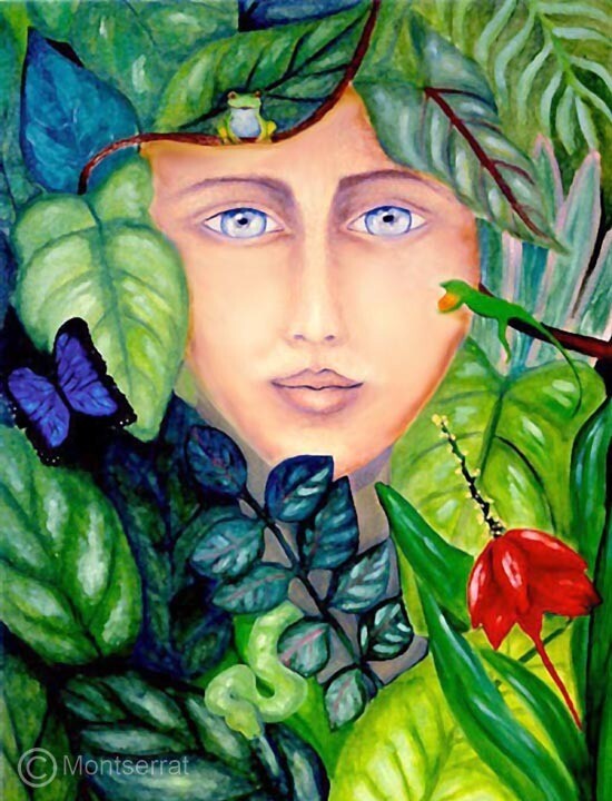 Living Forest
