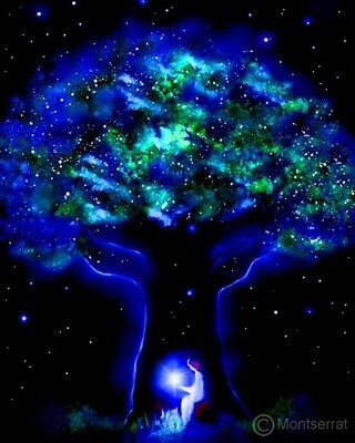 The Tree of Wishes