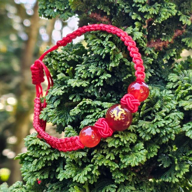 Red Dragon Carnelian Adjustable Bracelet