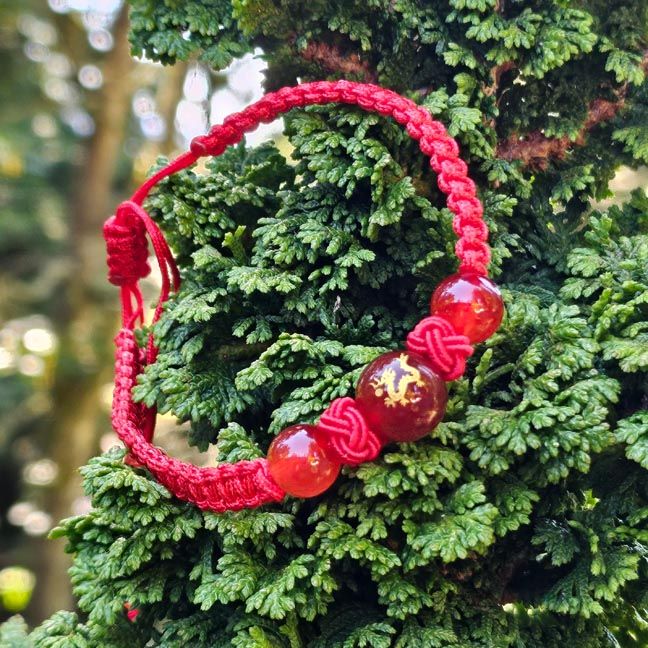 🐉Dragonfire Carnelian Bracelet