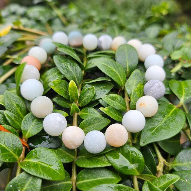 🌊Amazonite - Matte Bracelets